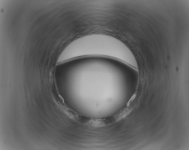 X0000081290280200701110916