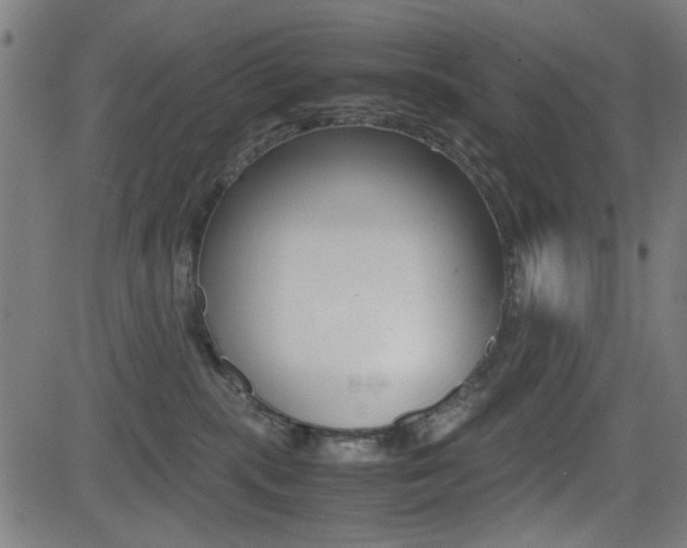 X0000081290283200701110916