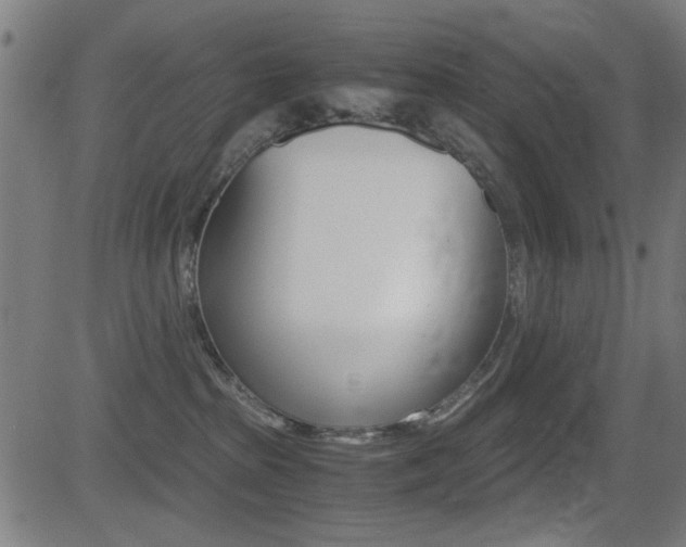 X0000081290285200701110916