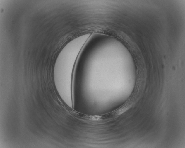 X0000081290288200701110916