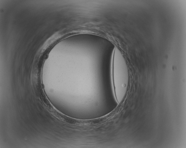 X0000081290295200701110915