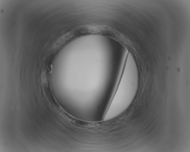 X0000081290317200701110915