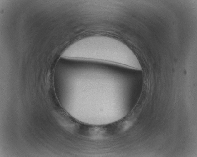 X0000081290319200701110915