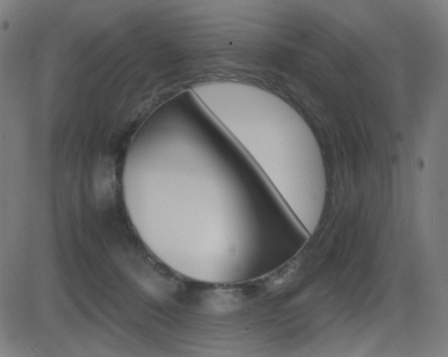 X0000081290320200701110915