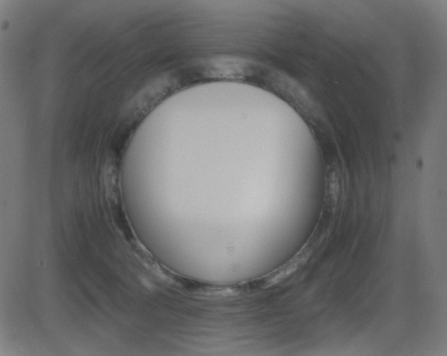 X0000081290322200701110915