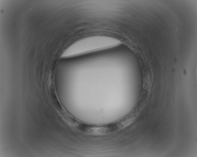 X0000081290323200701110915