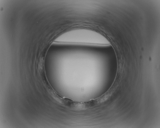 X0000081290325200701110915