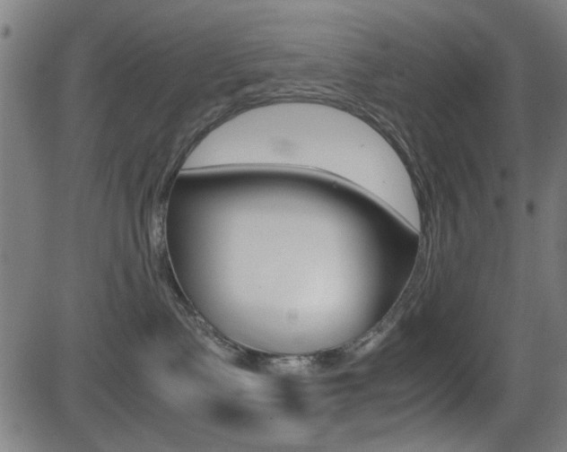 X0000081290335200701110915