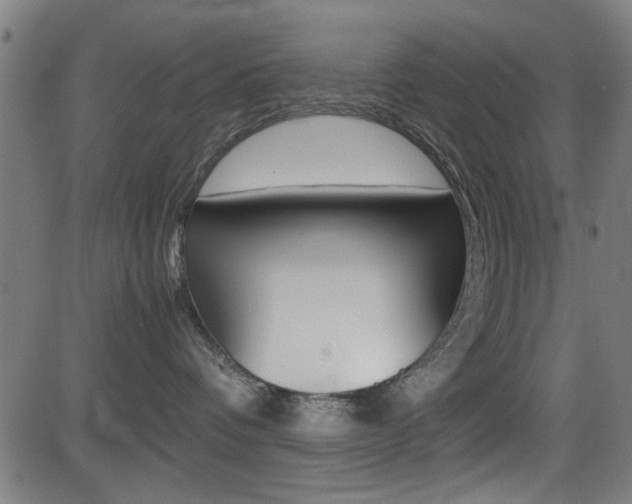 X0000081290336200701110915