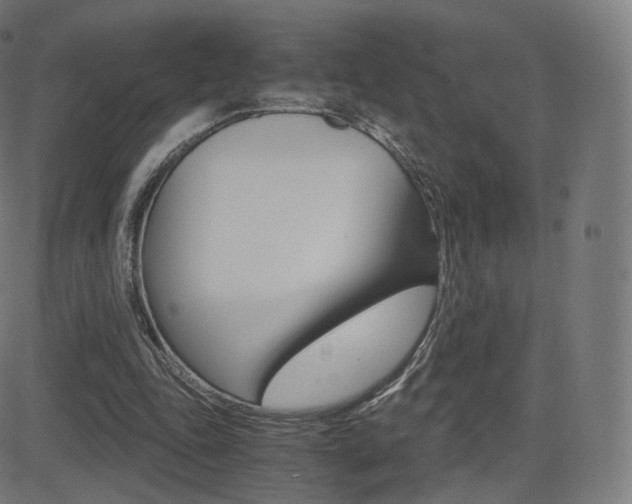 X0000081290343200701110914