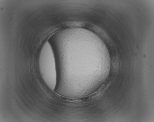 X0000081290359200701110914