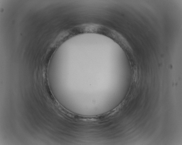 X0000081290363200701110914