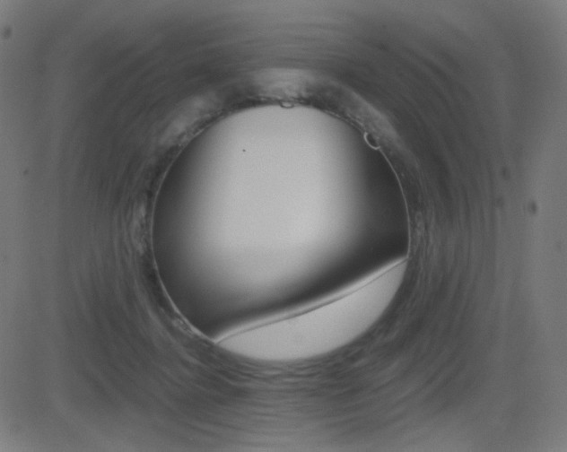 X0000081290364200701110914