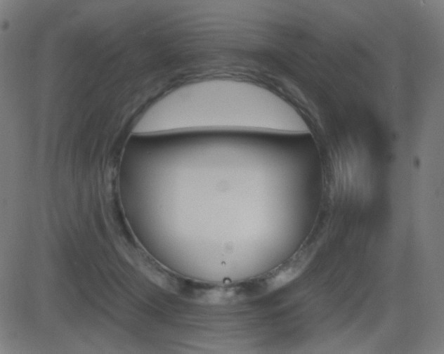 X0000081290366200701110914