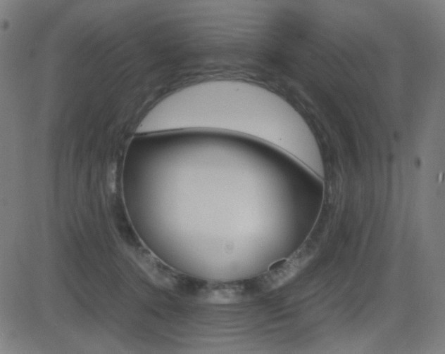 X0000081290368200701110915