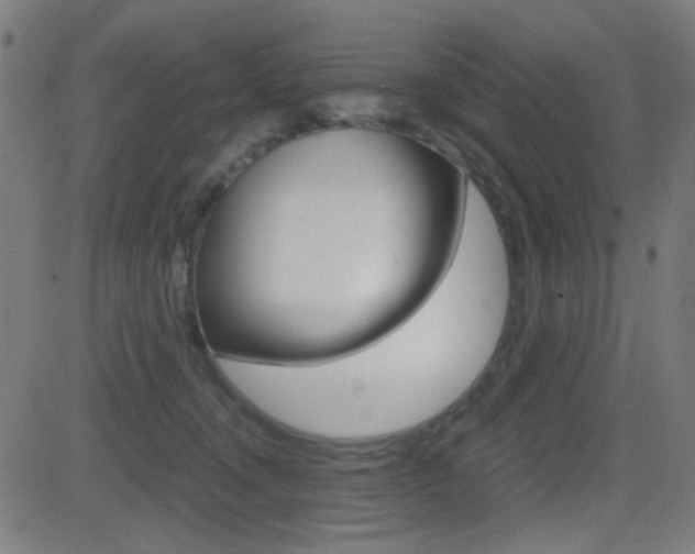 X0000081290372200701110915