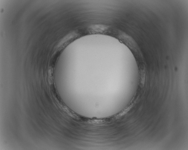 X0000081290378200701110915