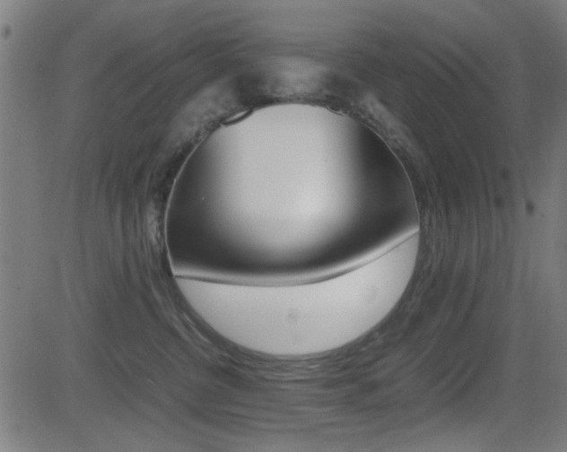 X0000081290380200701110915