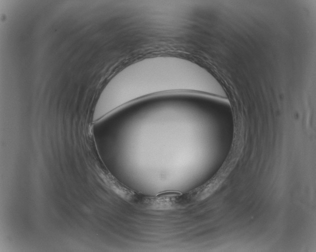 X0000081290384200701110915