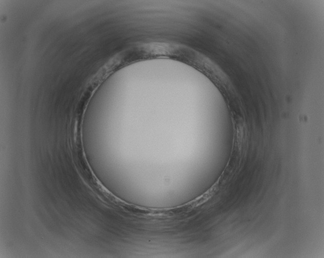 X0000081290406200701110914