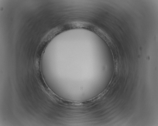 X0000081290410200701110914