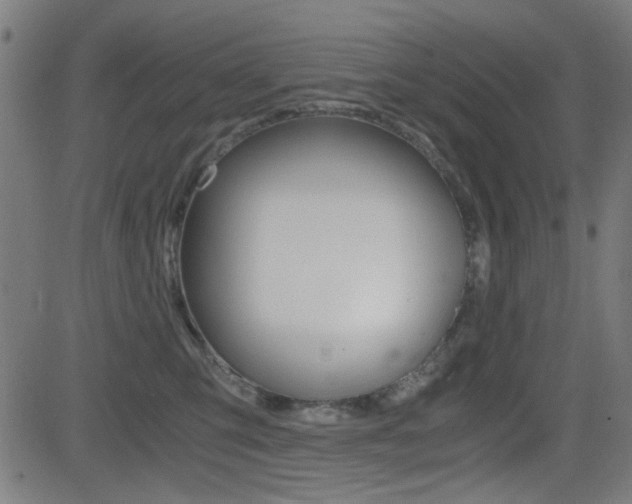 X0000081290423200701110913