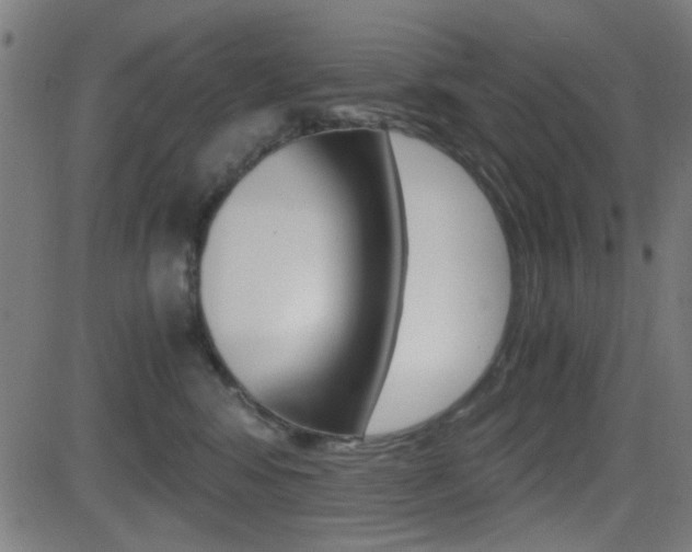 X0000081290424200701110913
