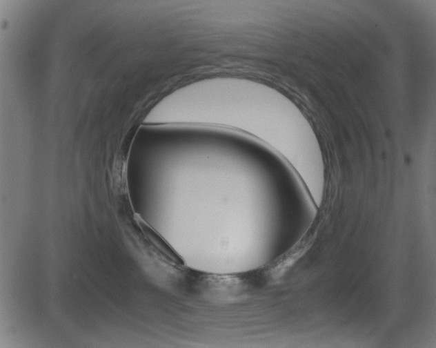 X0000081290429200701110913