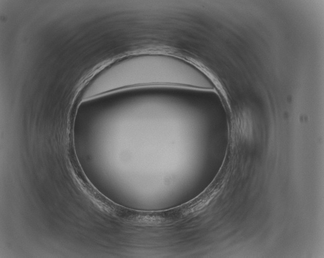 X0000081290437200701110912