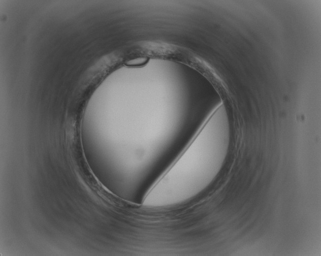 X0000081290451200701110913