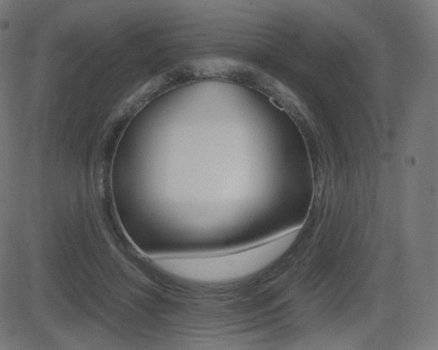 X0000081290452200701110913