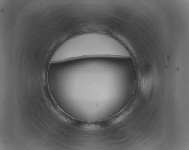 X0000081290453200701110913
