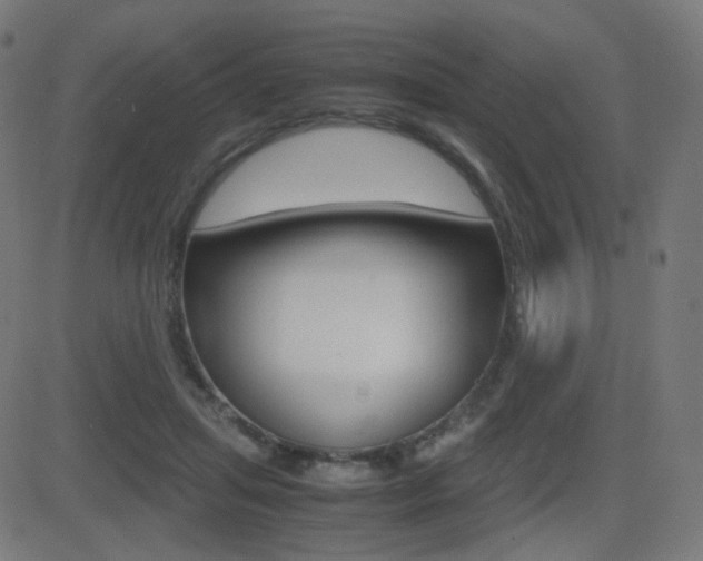 X0000081290455200701110913