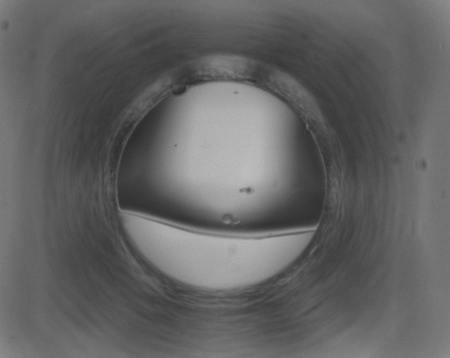 X0000081290457200701110913