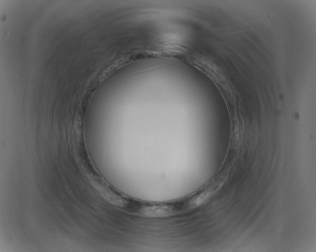 X0000081290461200701110913