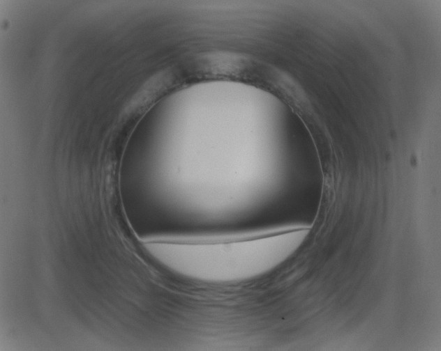 X0000081290462200701110913