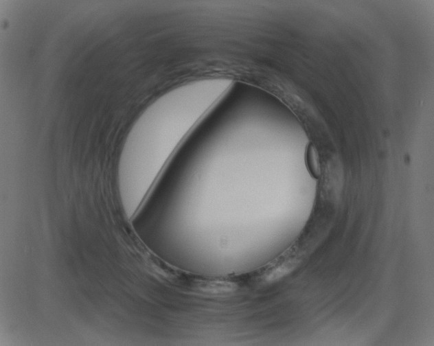 X0000081290463200701110913