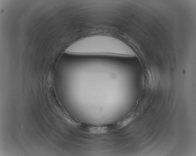 X0000081290465200701110913