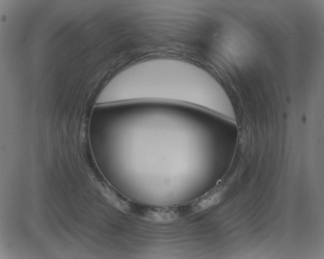 X0000081290466200701110913