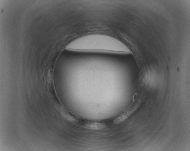 X0000081290467200701110913
