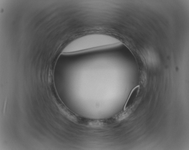 X0000081290470200701110913