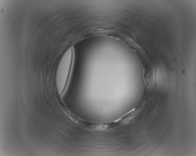 X0000081290474200701110913