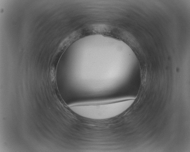 X0000081290478200701110913