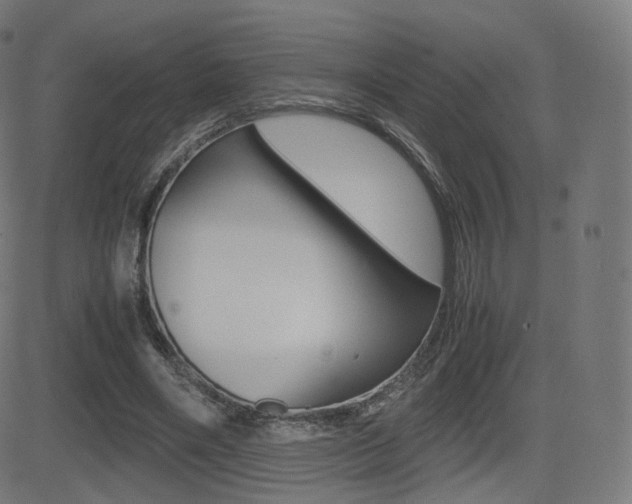 X0000081290490200701110912