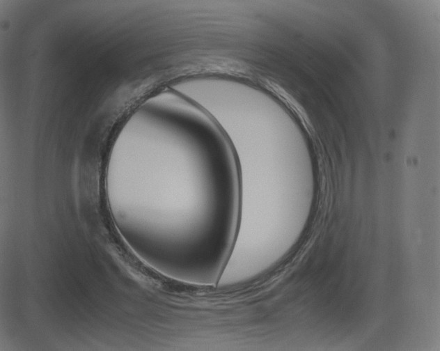 X0000081290493200701110912