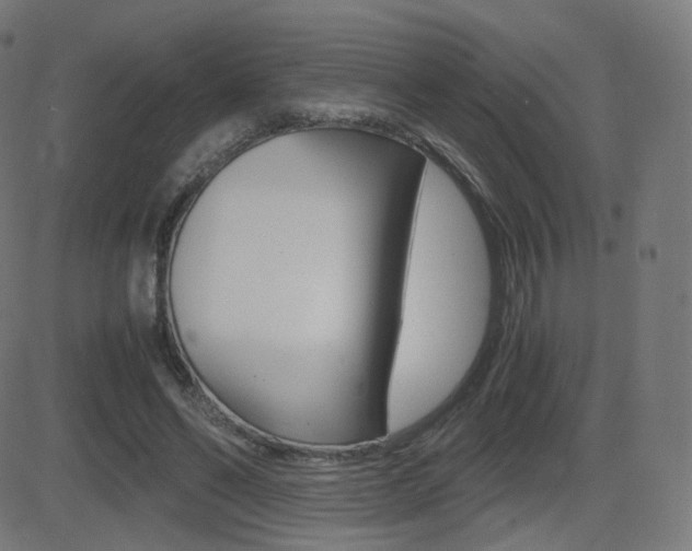 X0000081290494200701110912