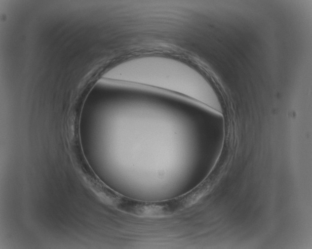 X0000081290501200701110912