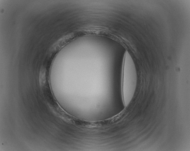 X0000081290504200701110912