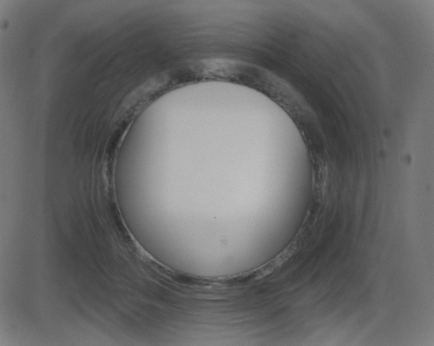X0000081290506200701110912