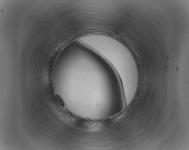 X0000081290512200701110912